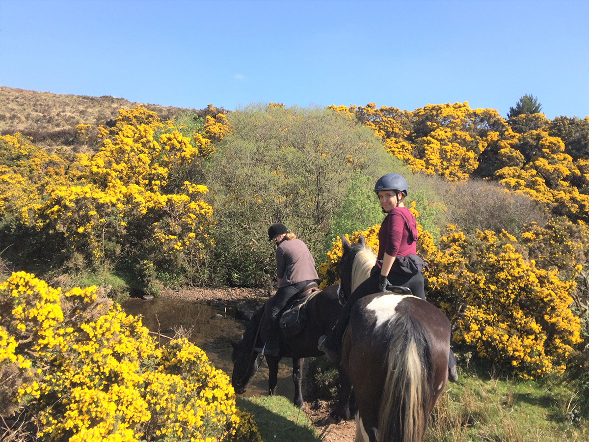 horse-riding-ireland-galway-irish-horseback-riding